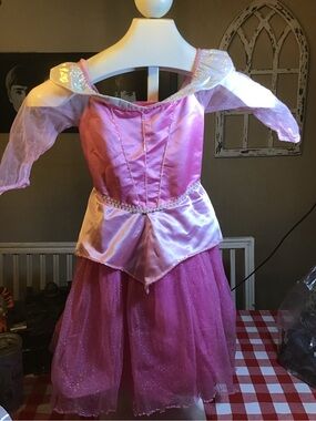 Disneyland resort enchanting princess aurora girl dress size 6/6x